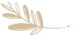 ornament_3-1024x614
